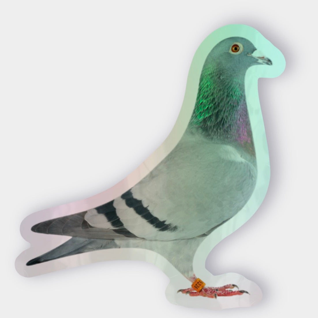 Pigeon Holographic Glossy Sticker – London Bird Sticker