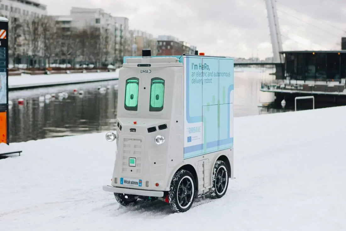 Delivery robot