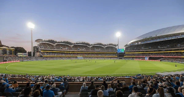 Cricket Explained for Beginners: Rules, Formats, and Why Billions Love It