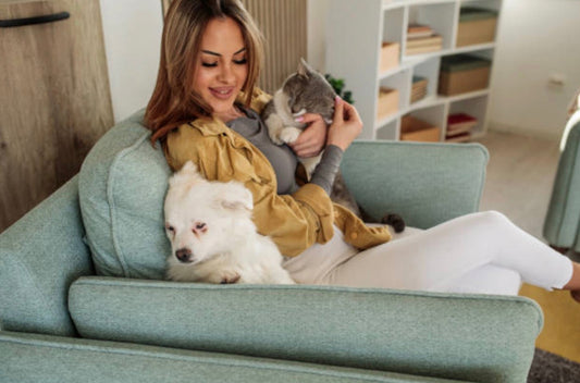 Daily Pet Care Routine For A Healthier And Happier Companion