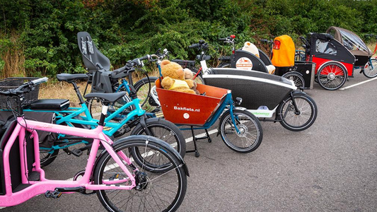 How to choose a cargo bike for my family