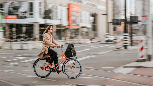 4 Ways Cycling Can Change Your Professional Life