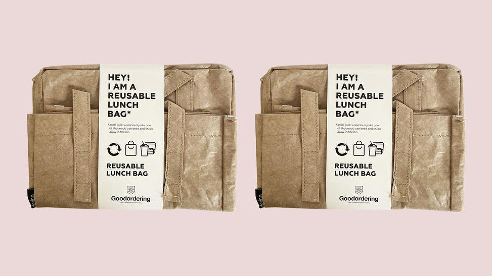 Reuseable lunch bag tyvek