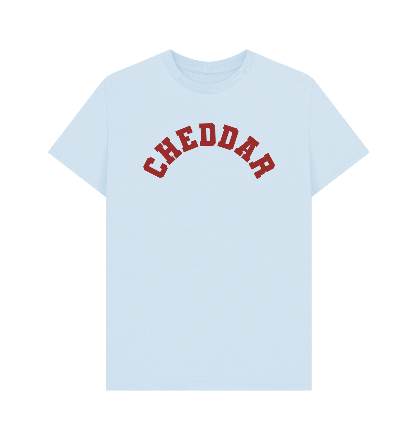 Sky Blue Printed T-shirt Front