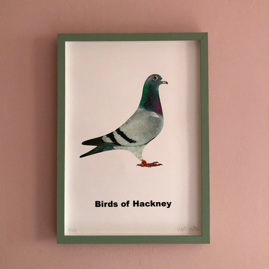 Birds of Hackney